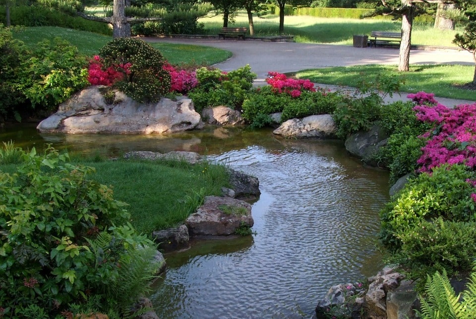 Comment intégrer un bassin d&rsquo;eau dans votre jardin &nbsp;?