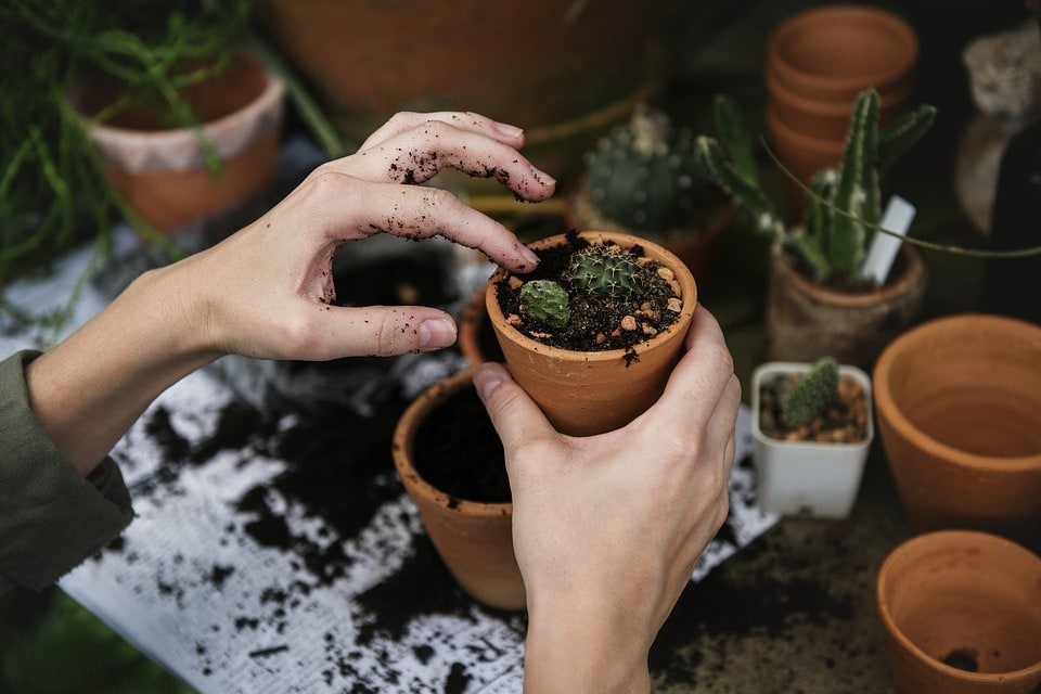 Prendre soin de son jardin pour préserver la nature