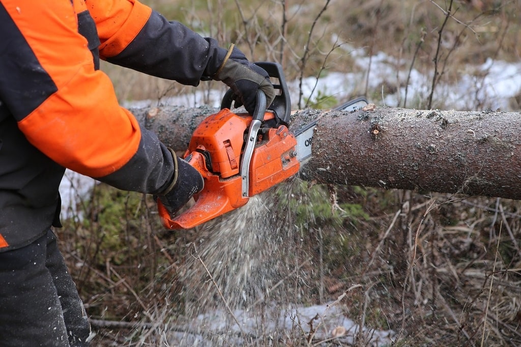 Les bonnes pratiques de l'élagage dans les Hautes-Pyrénées